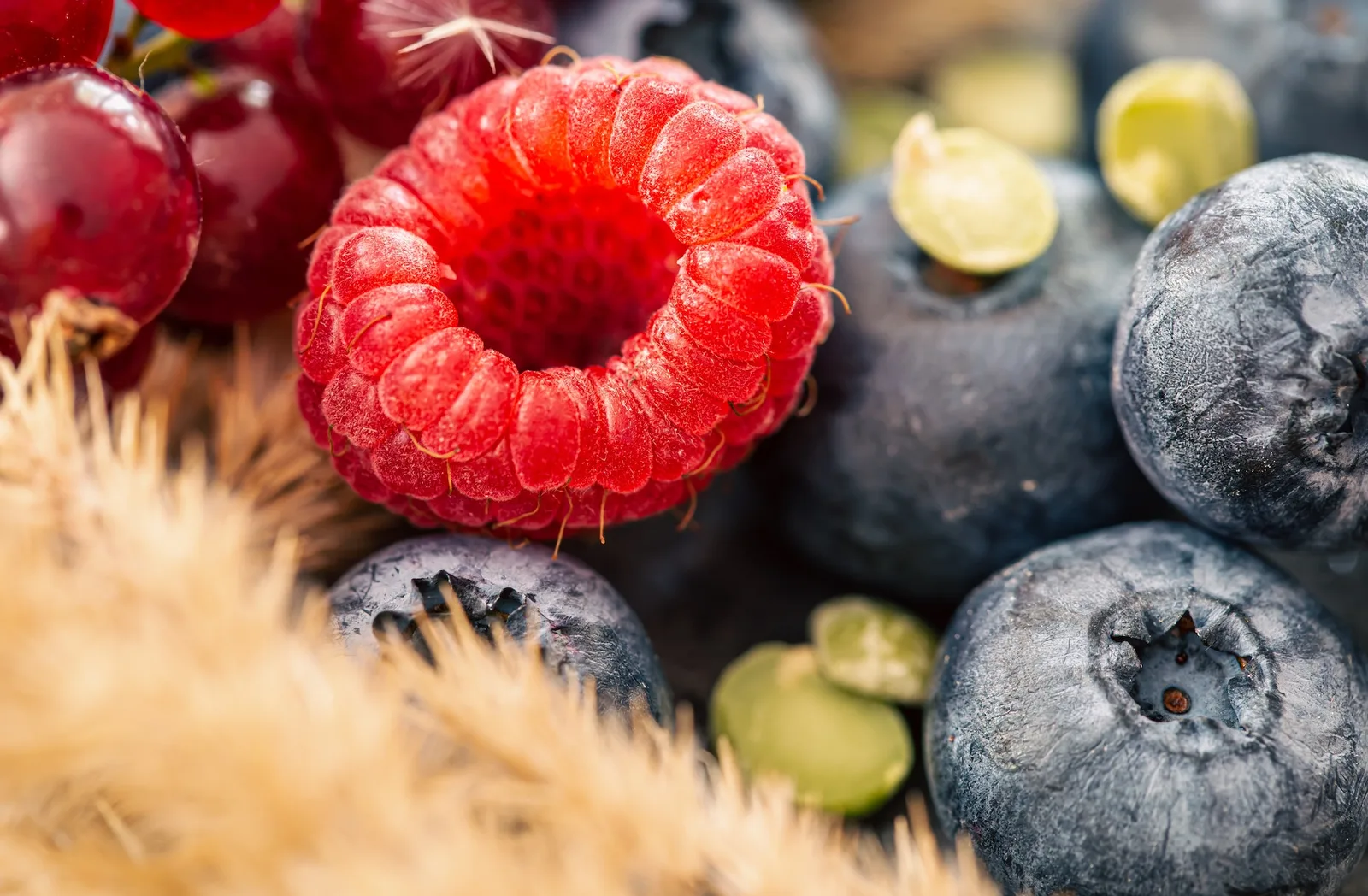 Natural background with different wild berries, macro shot.