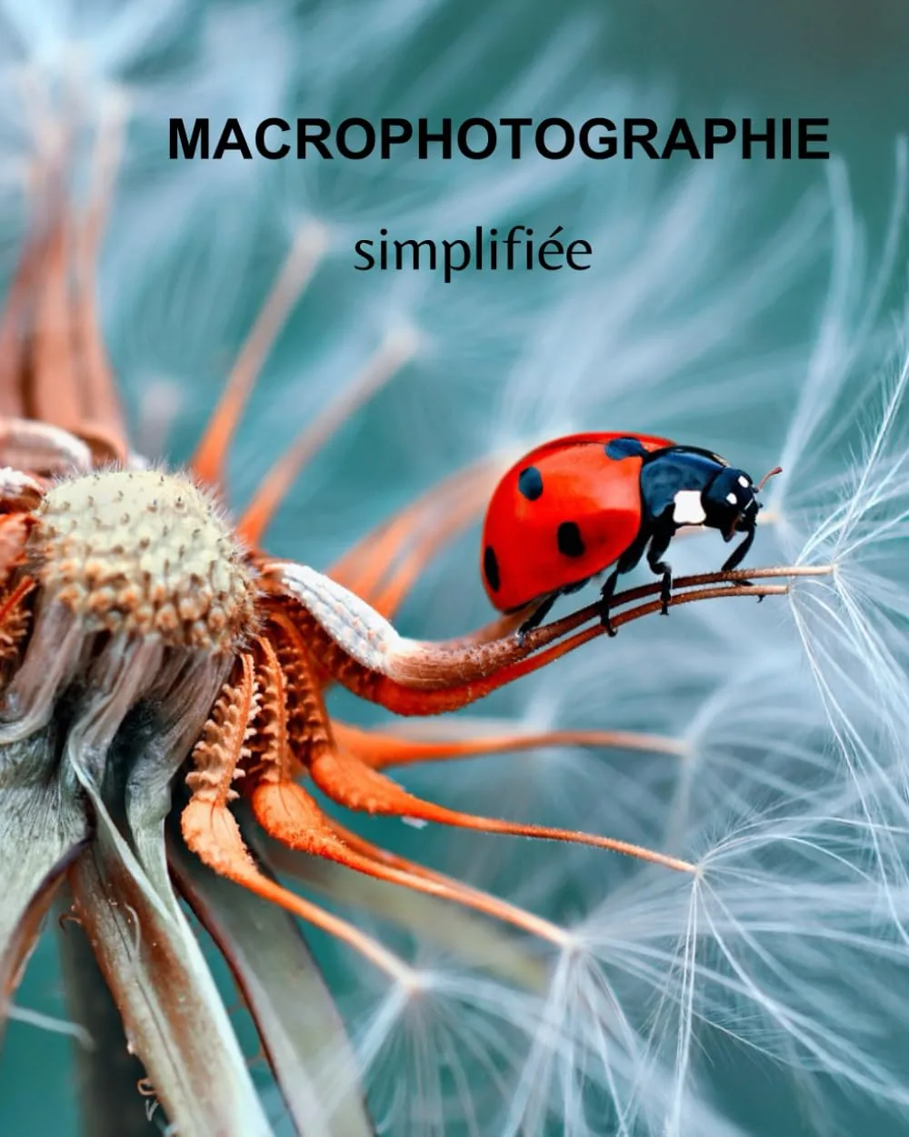 Macrophotographie pour débutants : Guide complet