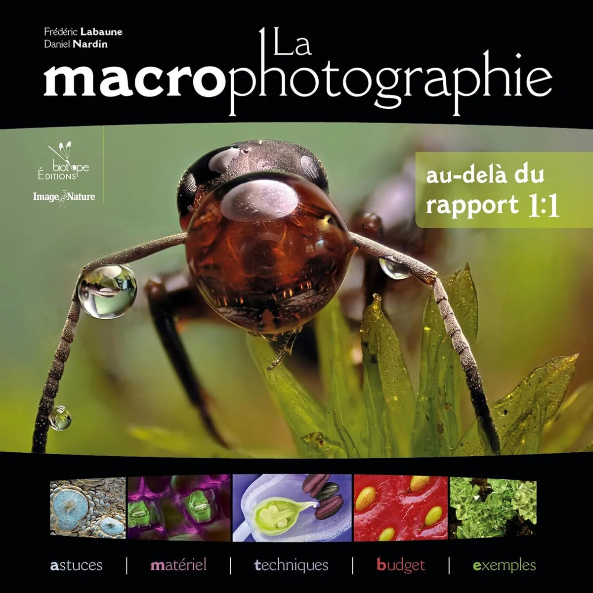 Macrophotographie : Guide complet